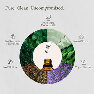 Pure Sauna Essential Oils Discovery Set, 6 x 10 ml