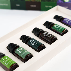 Pure Sauna Essential Oils Discovery Set, 6 x 10 ml