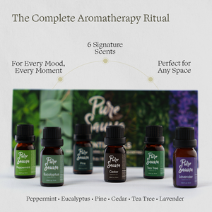 Pure Sauna Essential Oils Discovery Set, 6 x 10 ml